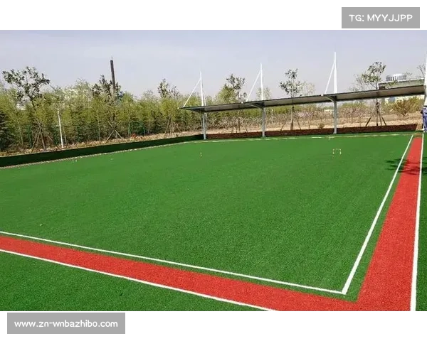 多地球场草坪质量提升，比赛流畅度得到保障